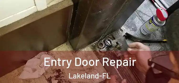  Entry Door Repair Lakeland-FL