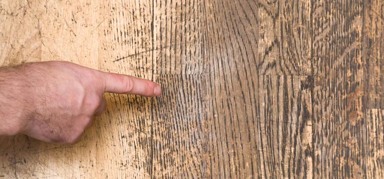 Wood Door Scratch Repair in Lakeland